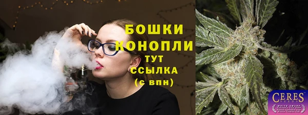 прущие грибы Аркадак